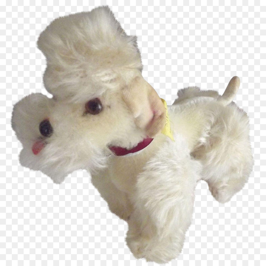 West Highland White Terrier，Maltés Perro PNG