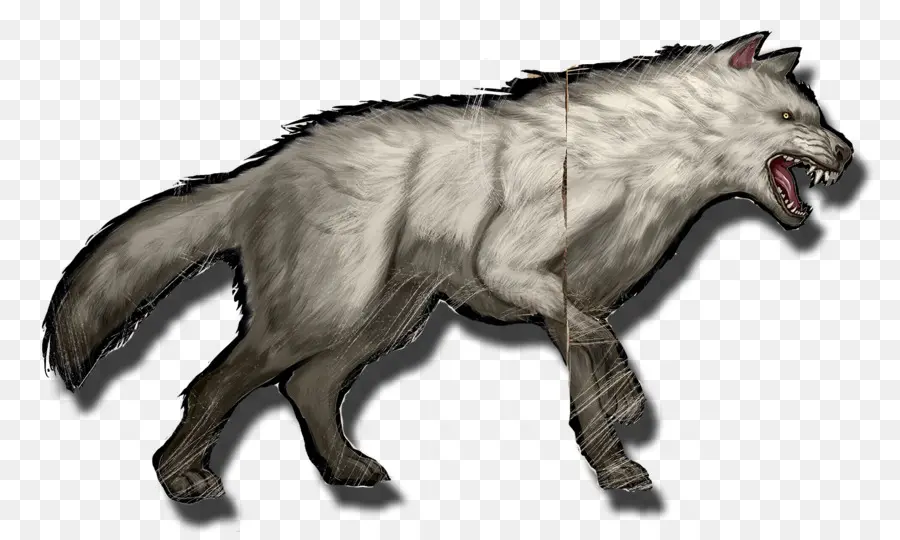 Lobo Gris，Arca De Supervivencia Evolucionado PNG