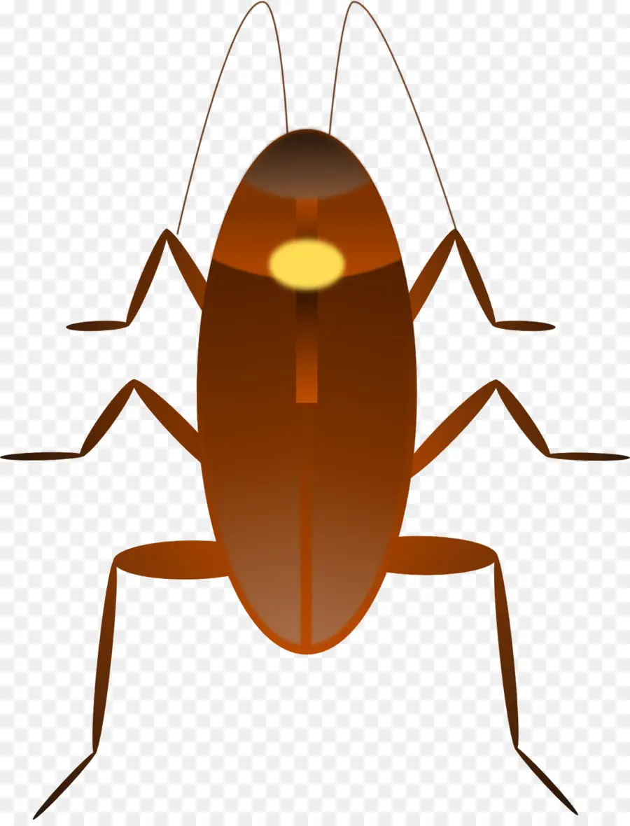 Cucaracha，El Dr Cucaracha PNG