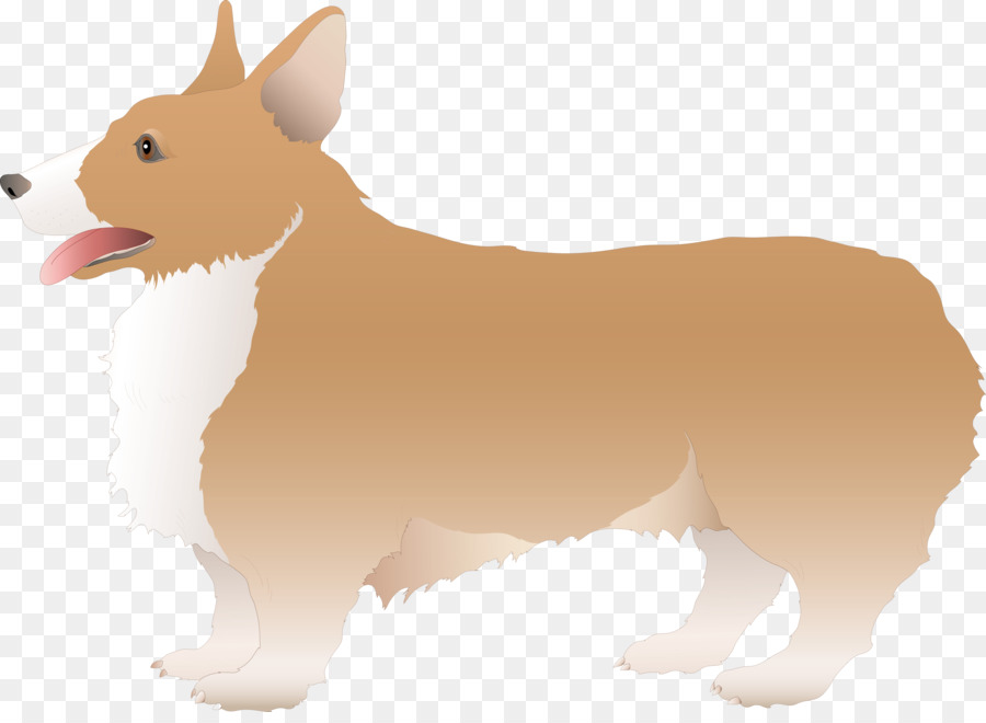 Pembroke Welsh Corgi，Canidae PNG