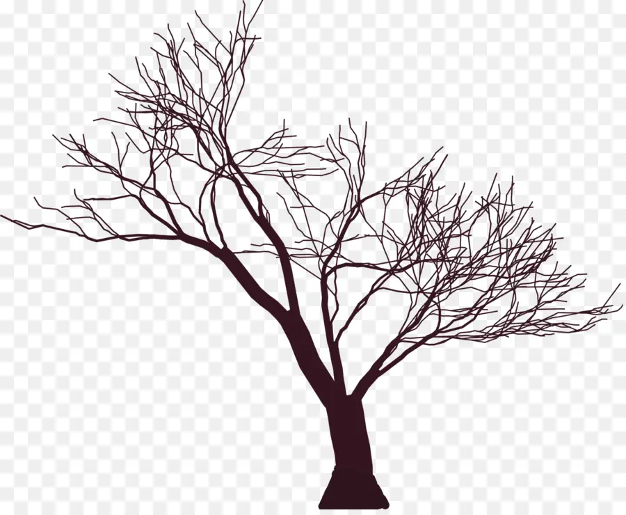 Rama，Árbol PNG