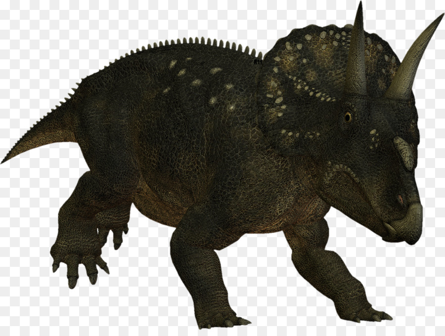 Triceratops，Prehistórico PNG