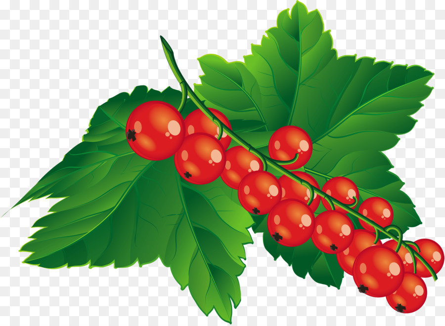 Berry，Arándanos PNG