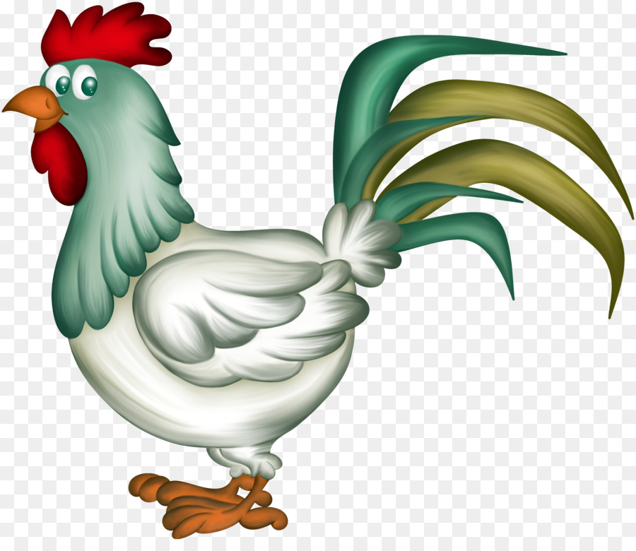 Pollo，Gallo PNG