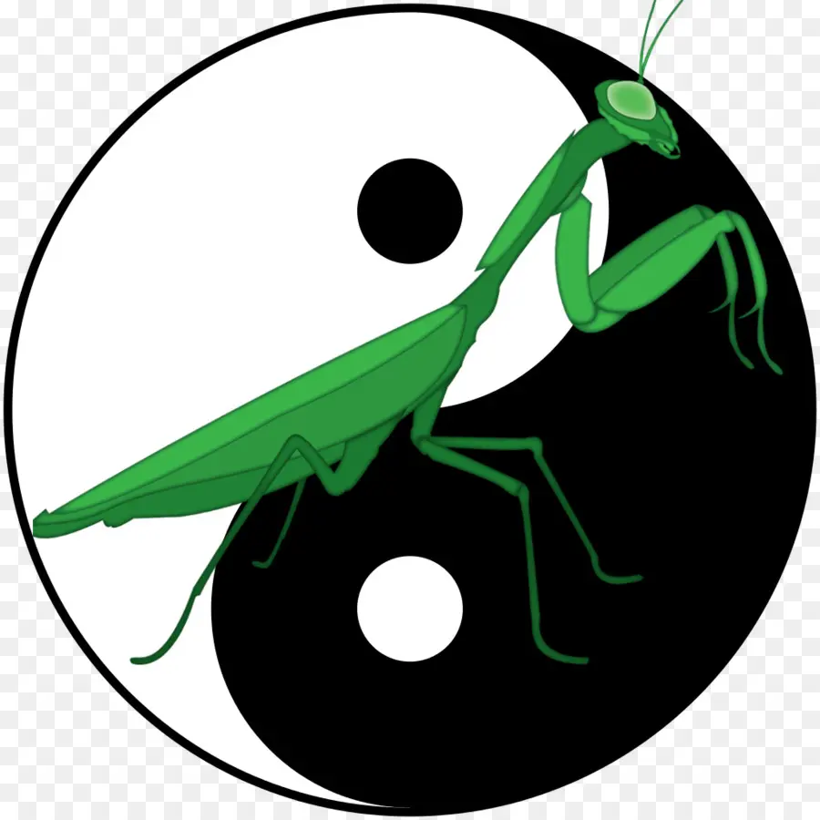 Mantis Religiosa，Yin Y Yang PNG