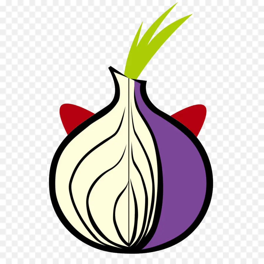 Tor，Cebolla PNG