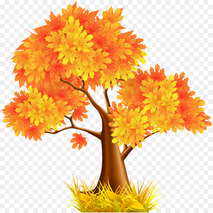 Árbol，Hojas Rojas PNG