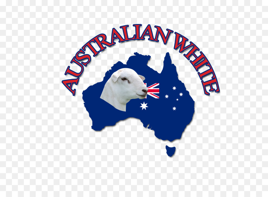 Australia Ovejas Blancas，Wiltipoll PNG