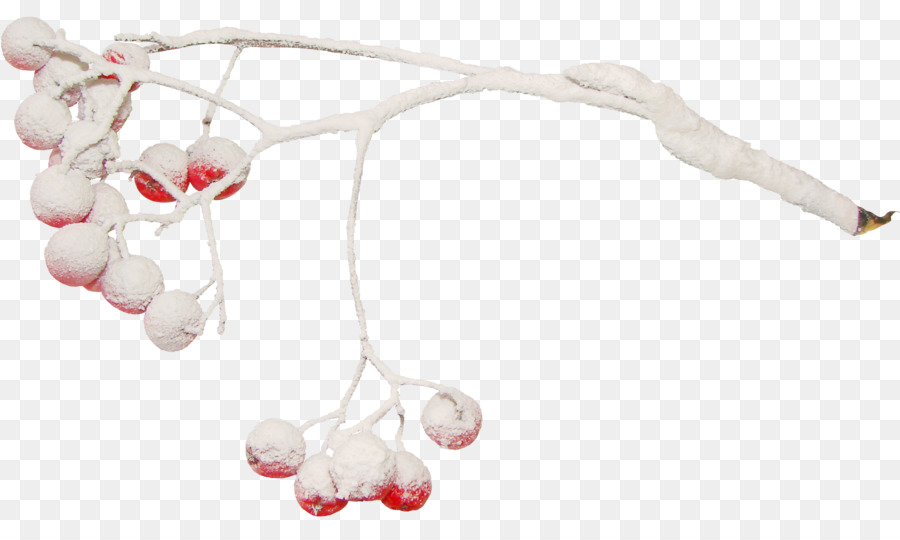 Body Jewellery，Toy PNG