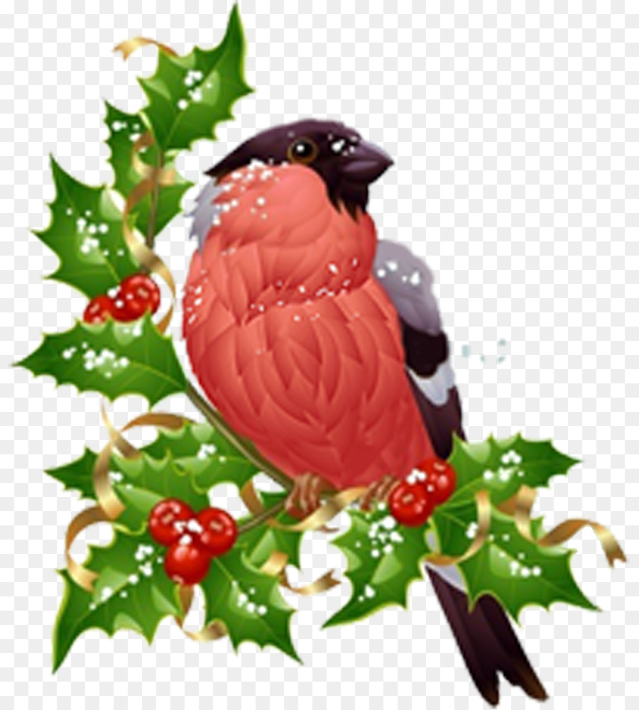 Pájaro，Gorro De Papá Noel PNG