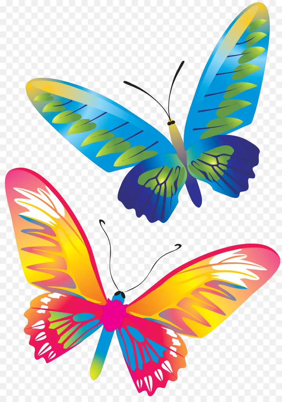 Mariposa，Coreldraw PNG