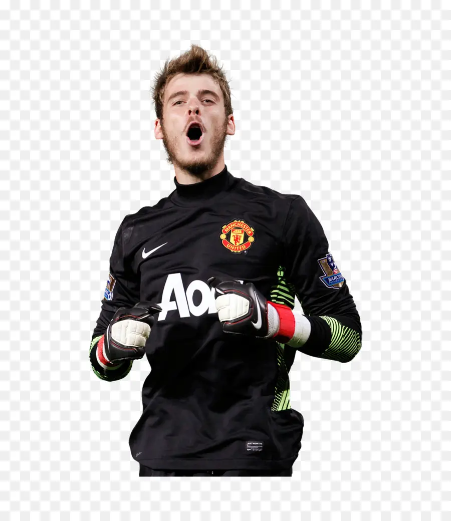 David De Gea，El Manchester United Fc PNG