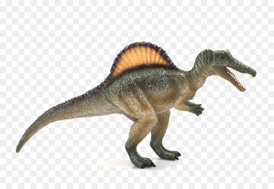 Espinosaurio，Tiranosaurio PNG