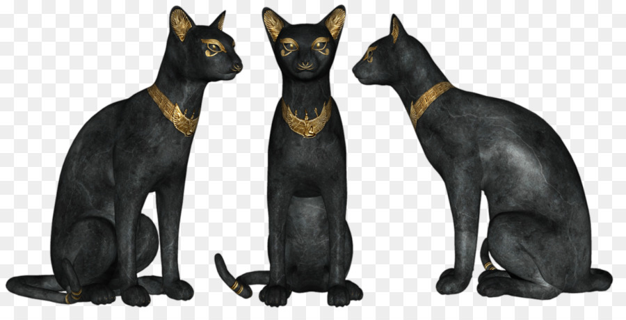 Gatos Negros，Felino PNG