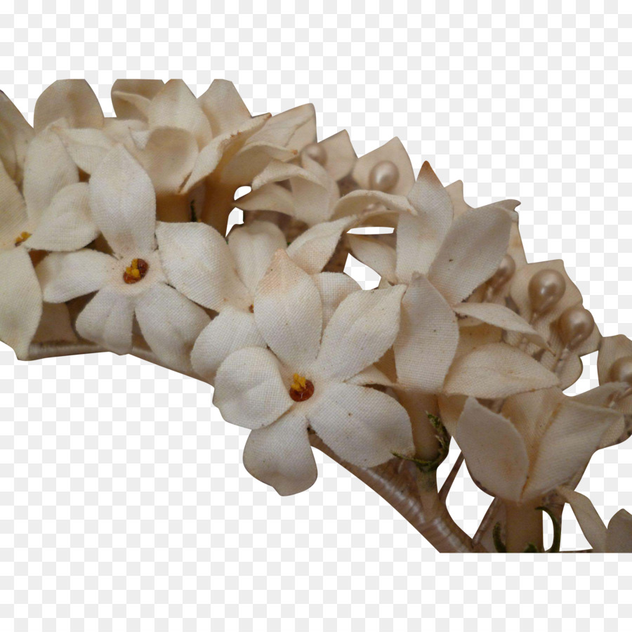 Flores Blancas，Florecer PNG