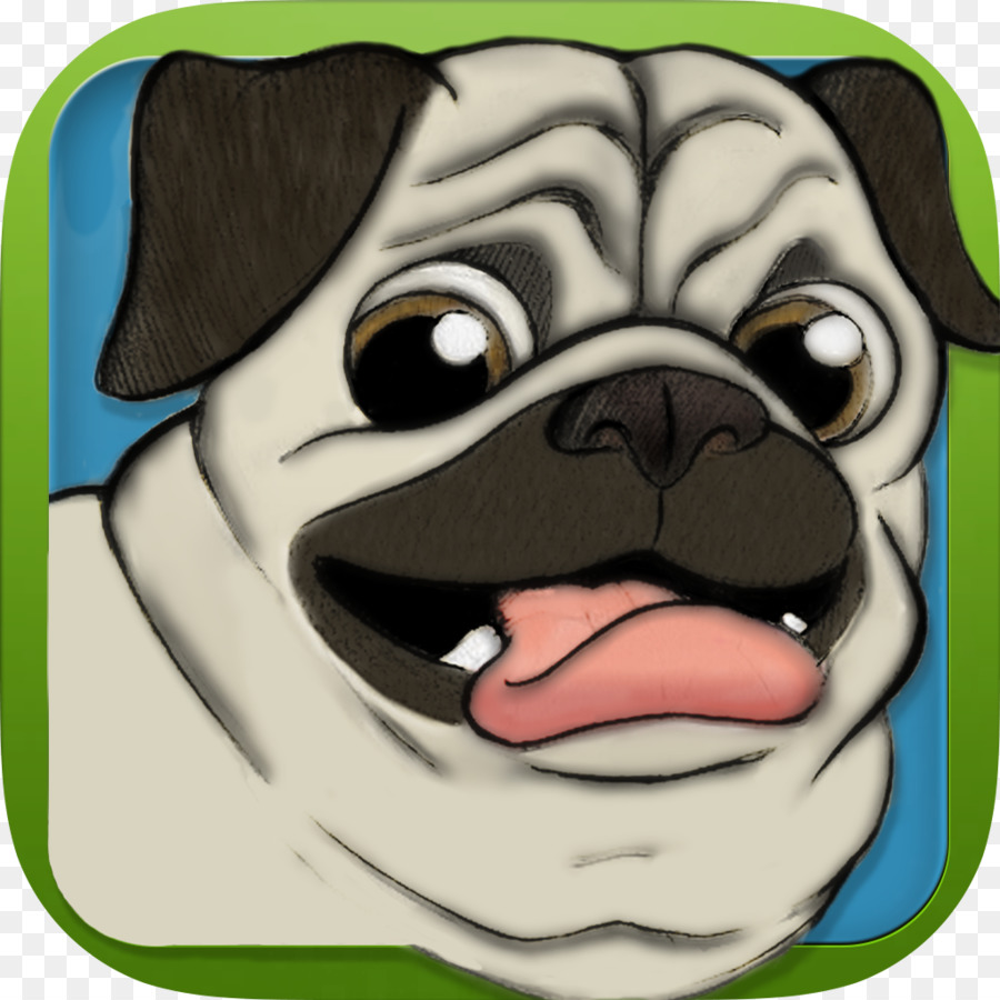 Pug，Cachorro PNG