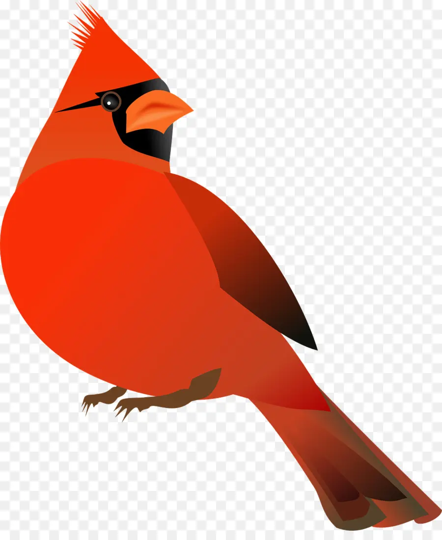 Cardenal，Rojo PNG