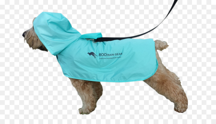 Perro En Impermeable，Impermeable PNG