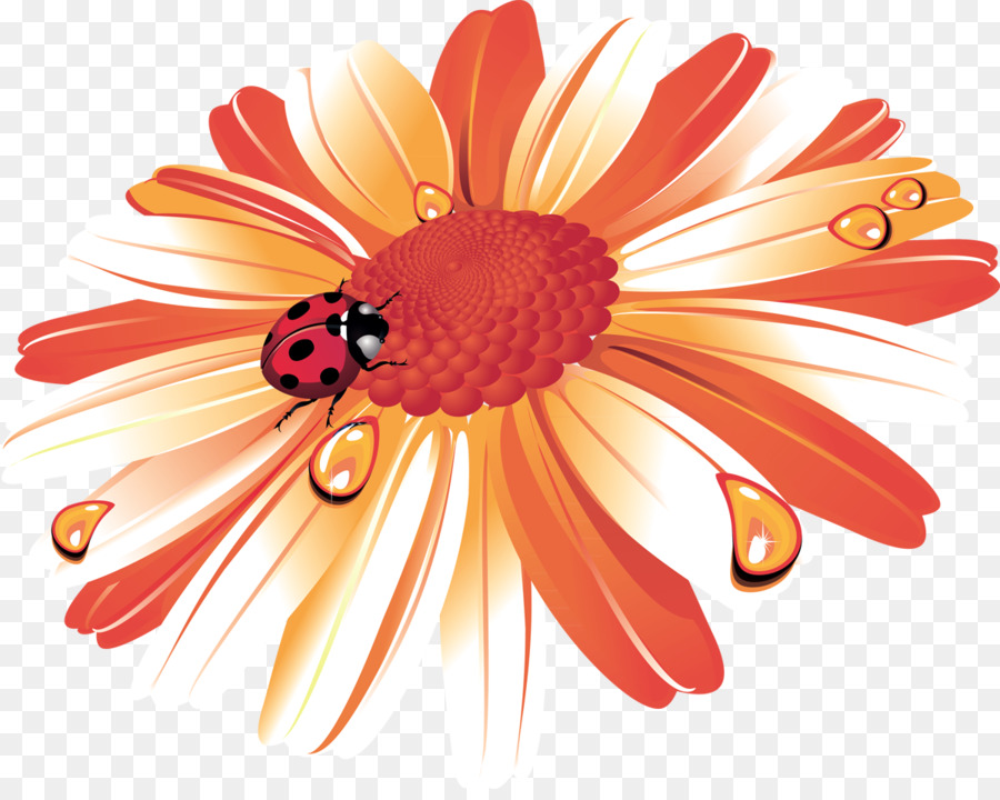 Girasol，Amarillo PNG