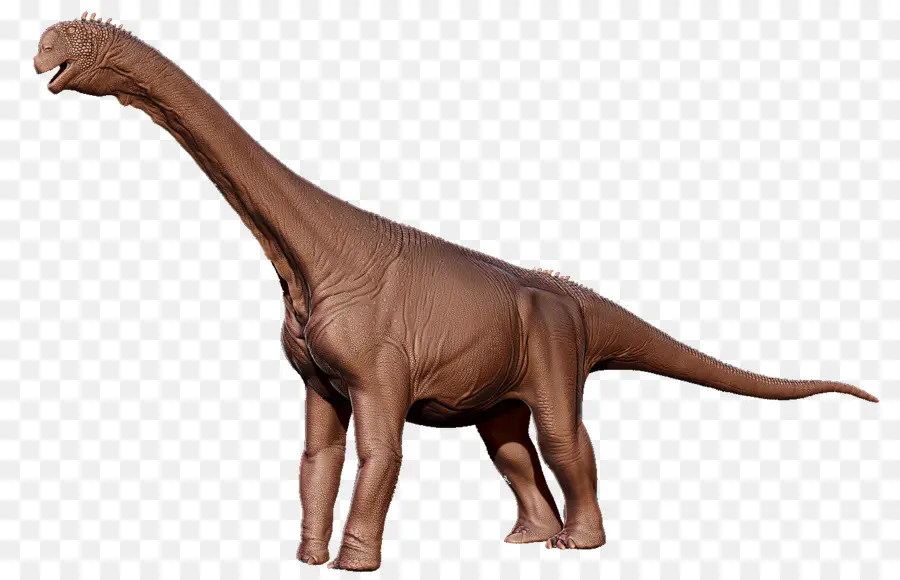 Camarasaurus，Dinosaurio PNG