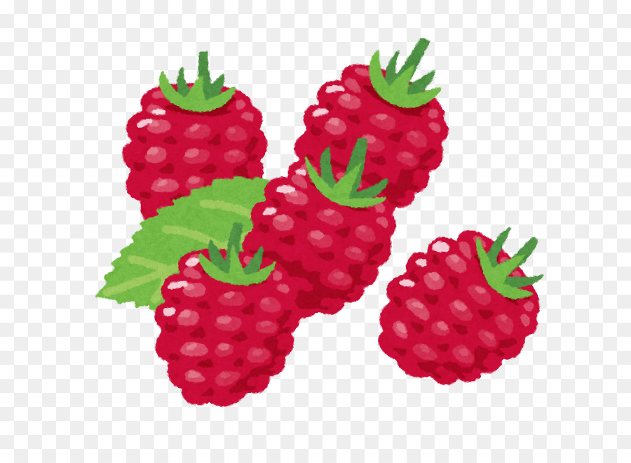 Berry，Frambuesa PNG