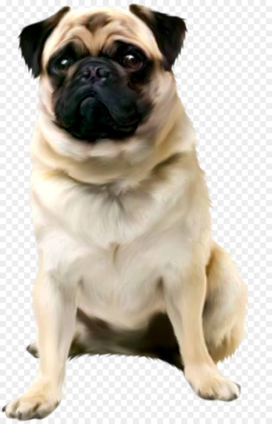 Perro，Cachorro PNG