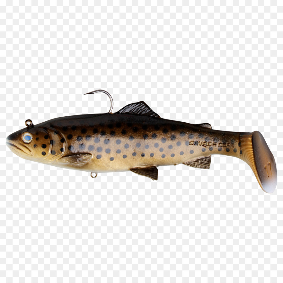 Los Cebos De Pesca Señuelos，La Trucha PNG