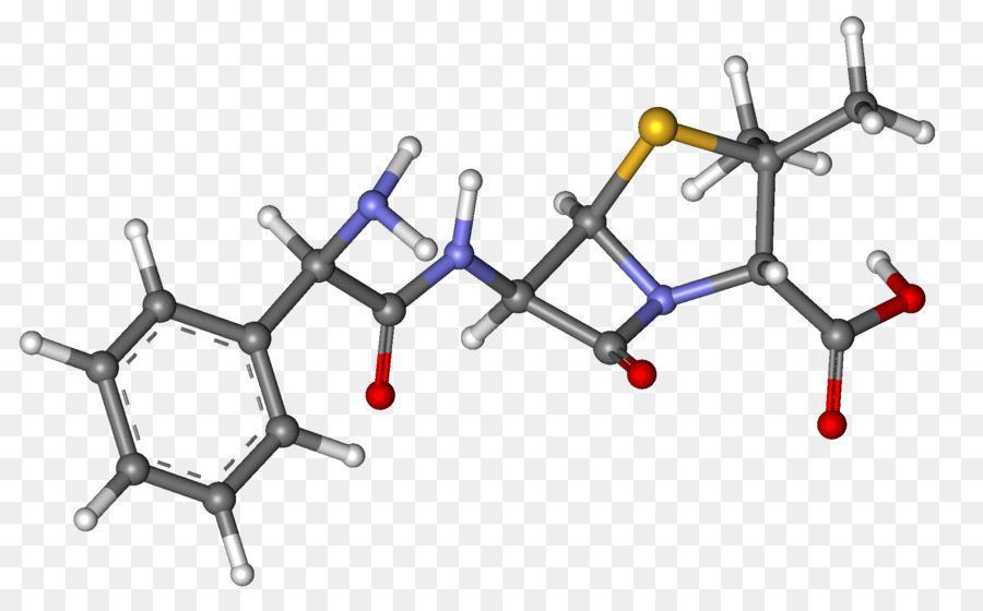 La Ampicilina，Cefalexin PNG