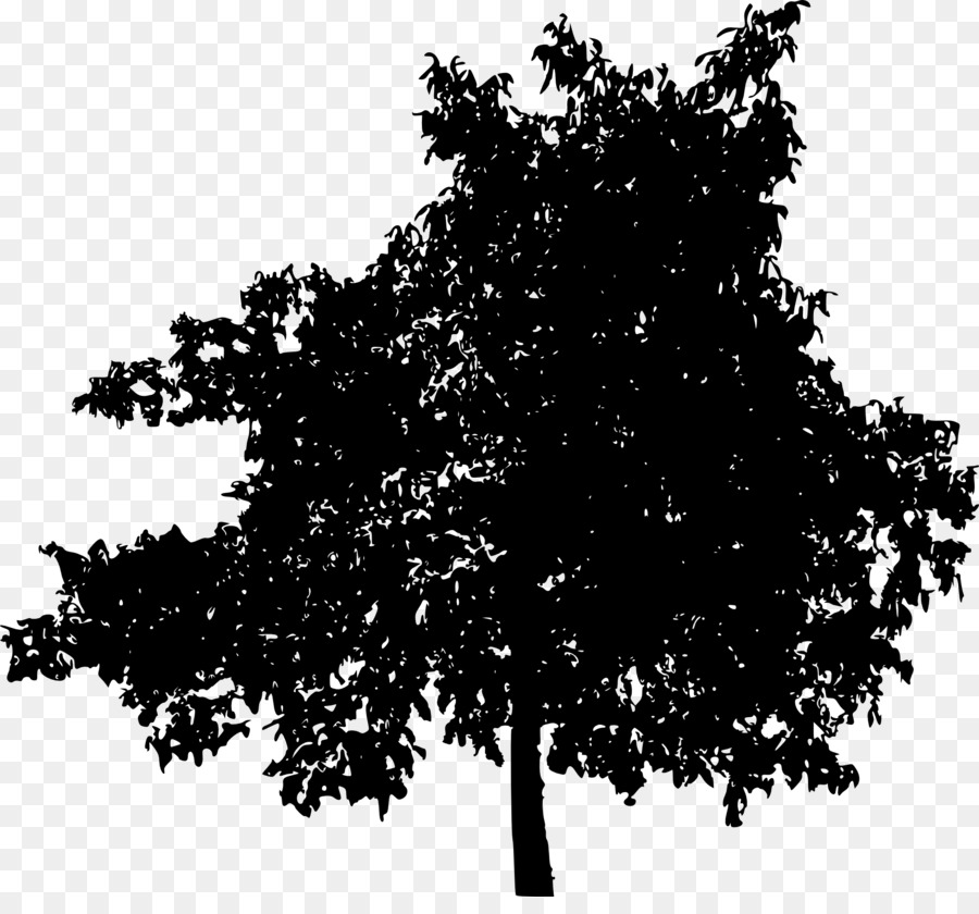 árbol，Planta Leña PNG