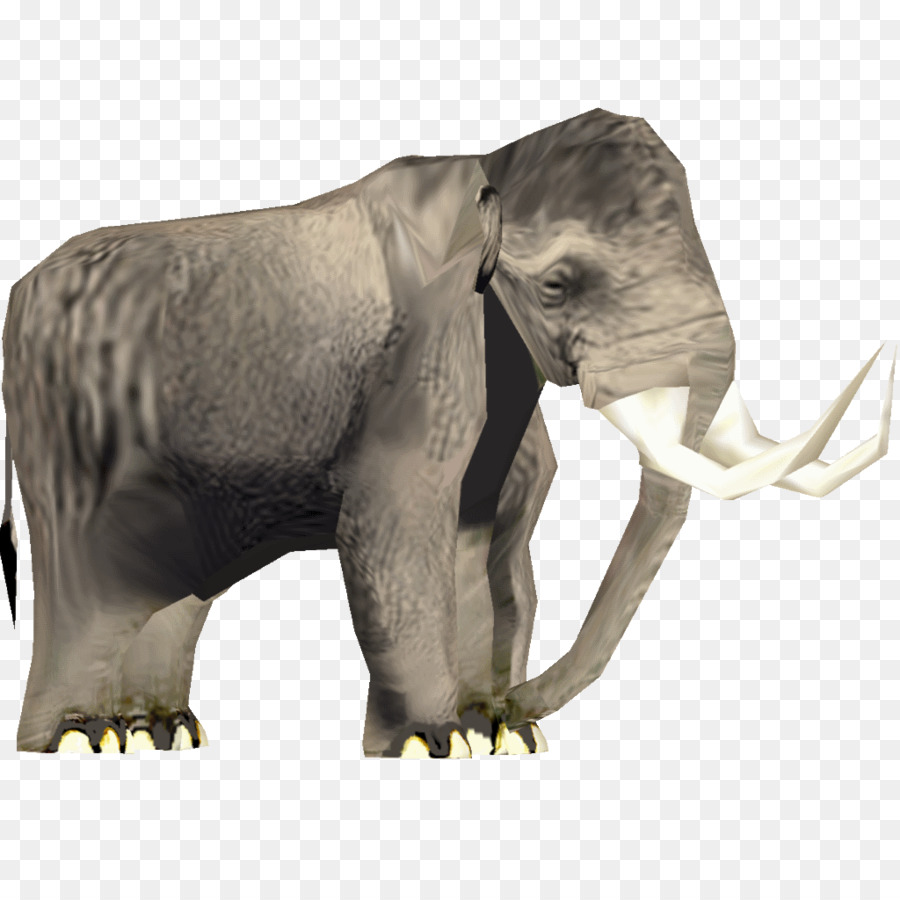 El Elefante Africano，Elefante PNG