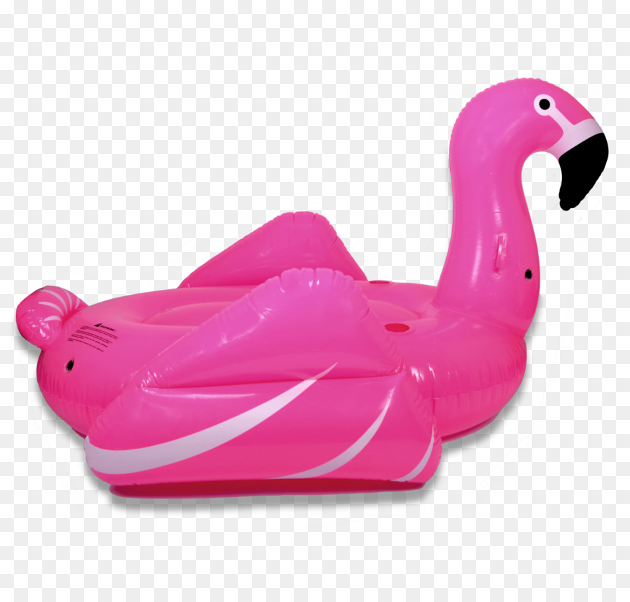Piscina，Flamingo PNG