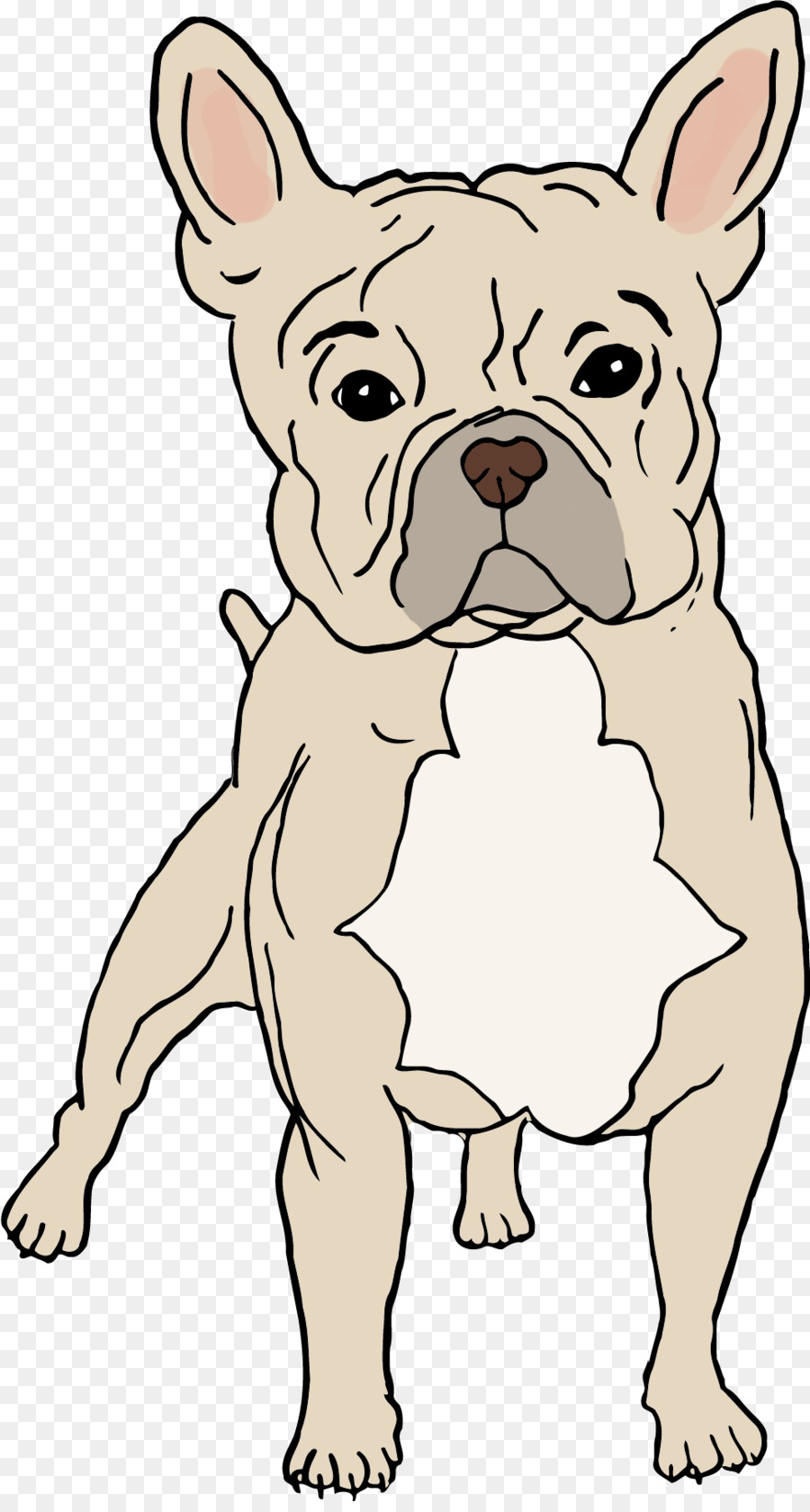 Bulldog Francés，Perro PNG