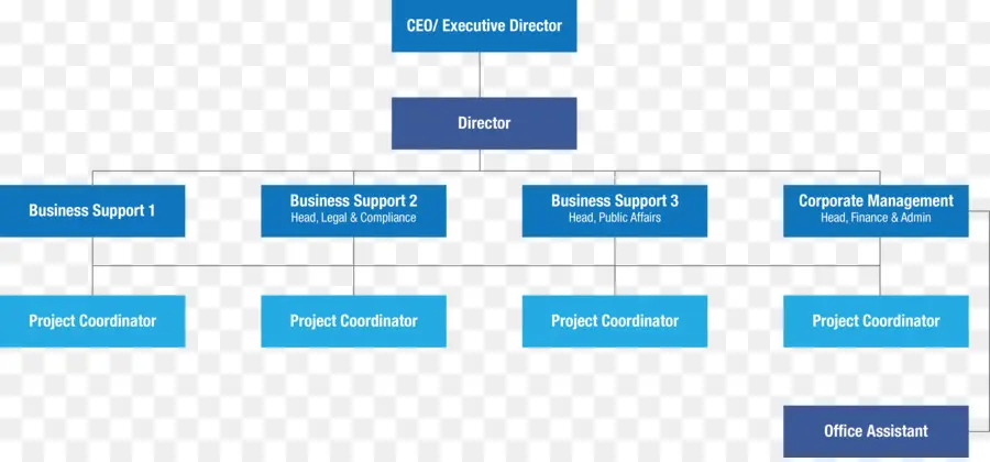 Organigrama，Estructura Empresarial PNG