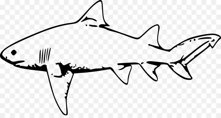 Tiburón，Tiburón Limón PNG
