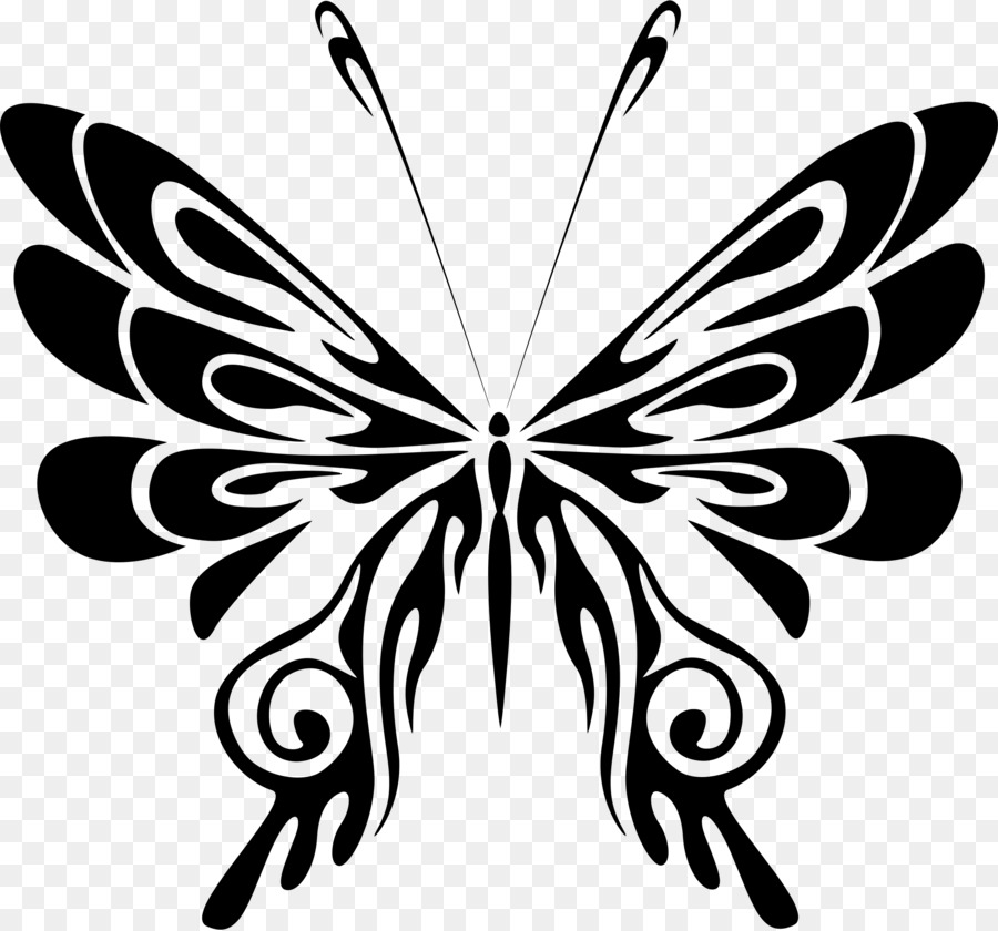 Mariposa，Iconos De Equipo PNG