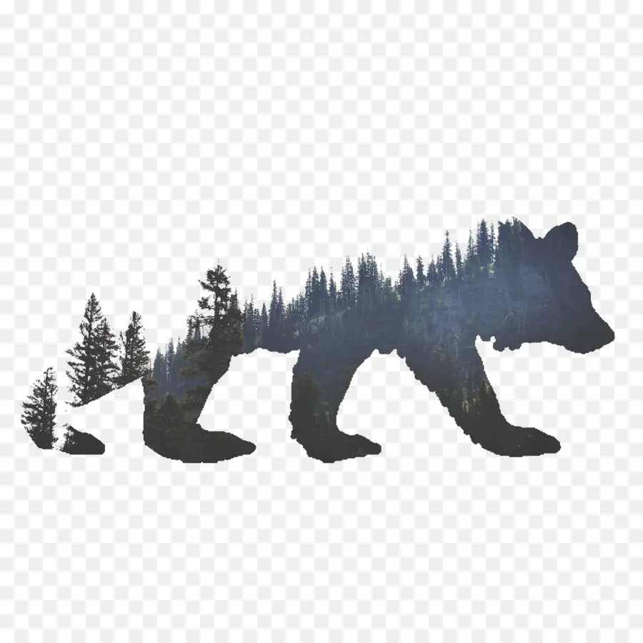 Oso，El Oso Negro Americano PNG