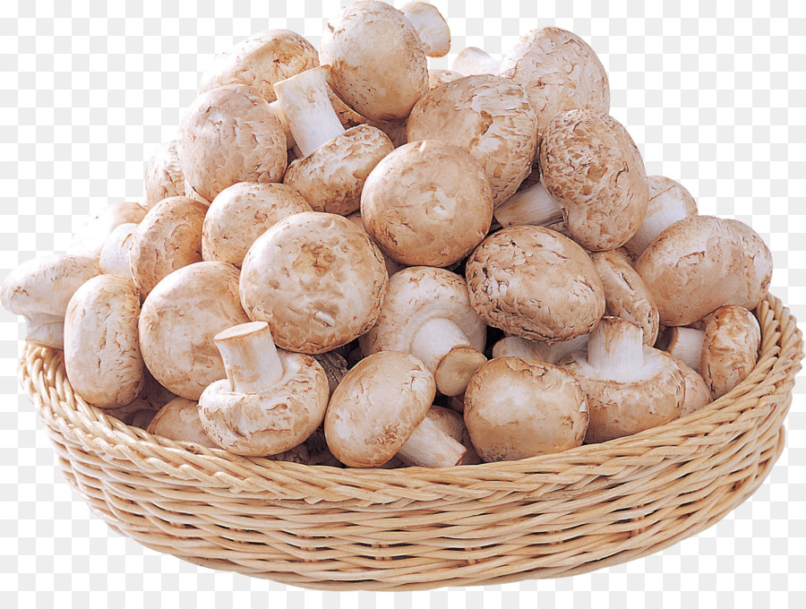 Agaricus，Seta Comestible PNG