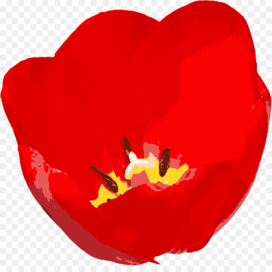 Flor，Amar PNG