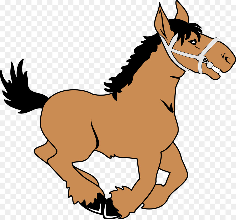 Mustang，Pony PNG