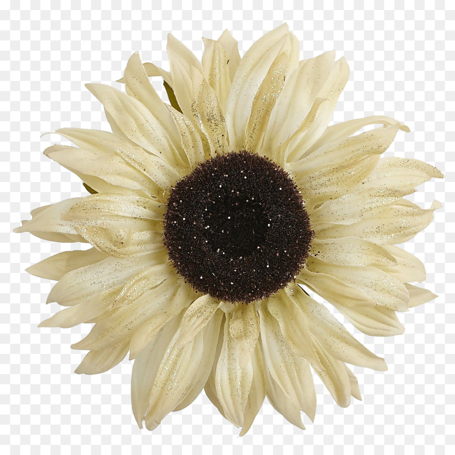 La Moda，Flor PNG