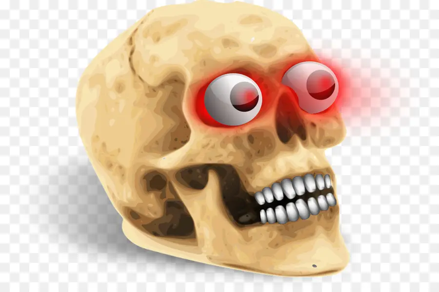 Cráneo Humano Simbolismo，Esqueleto Humano PNG