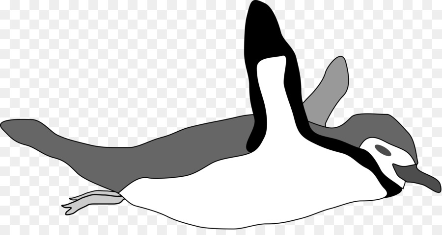 Pingüino，Nadar PNG