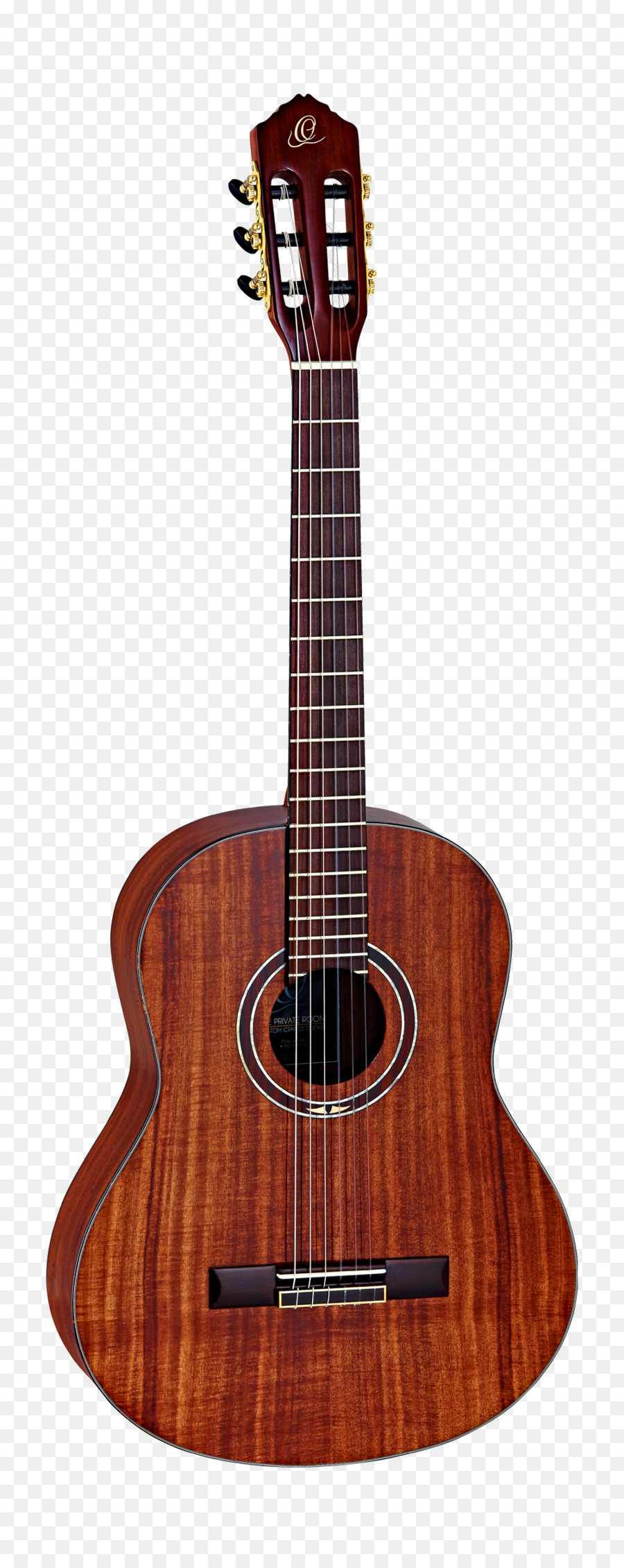 Guitarra，Instrumentos De Cuerda PNG