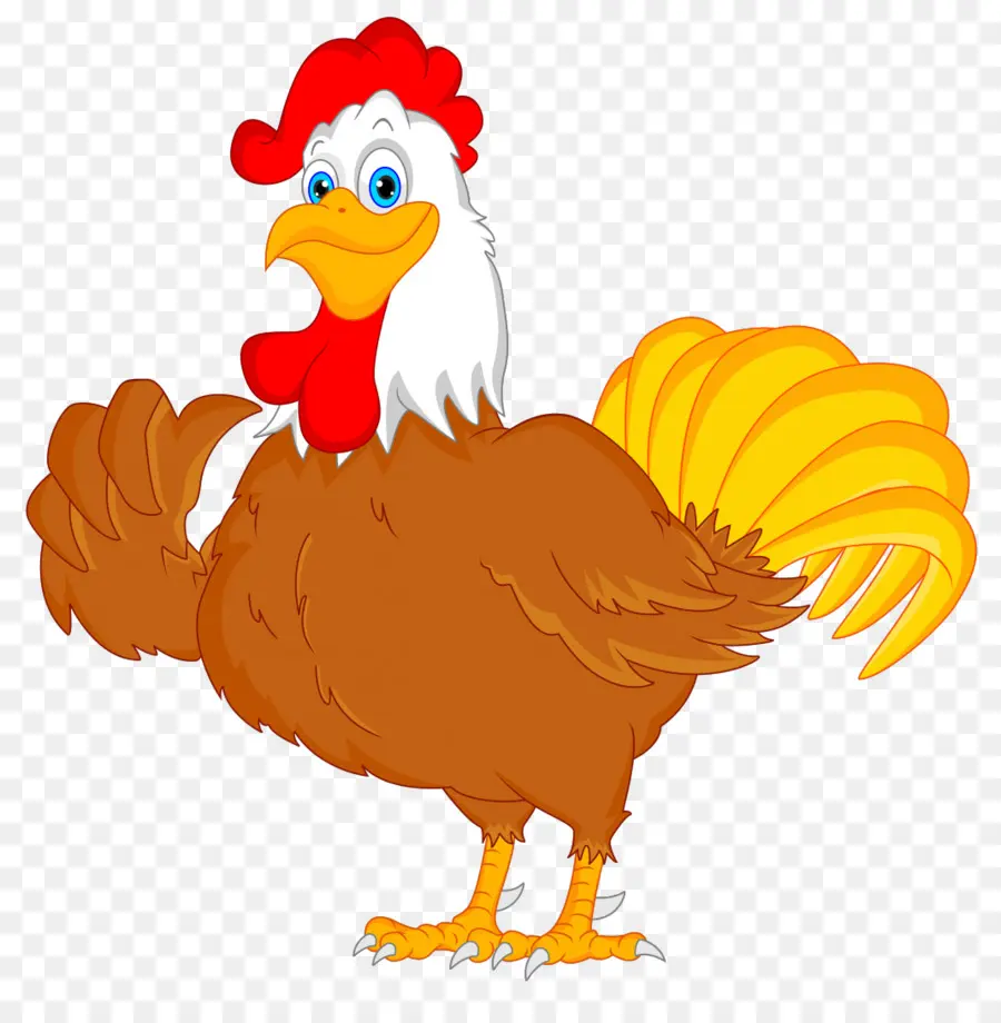 Gallo De Dibujos Animados，Pollo PNG