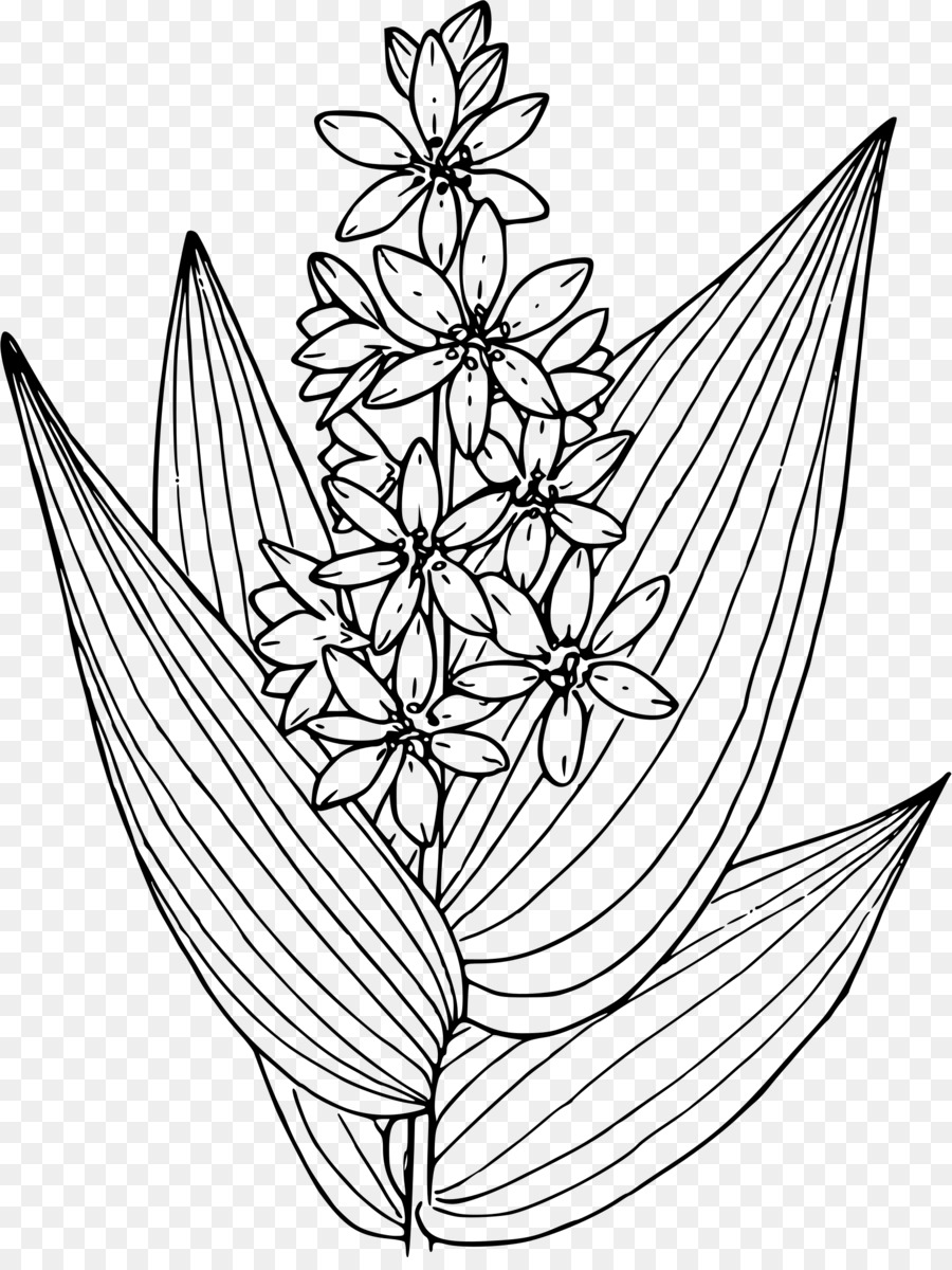 Flor，Florecer PNG