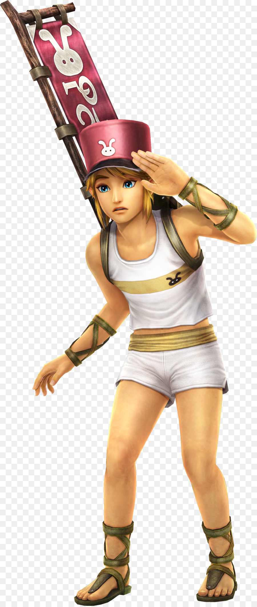 Hyrule Warriors，La Leyenda De Zelda Twilight Princess Hd PNG