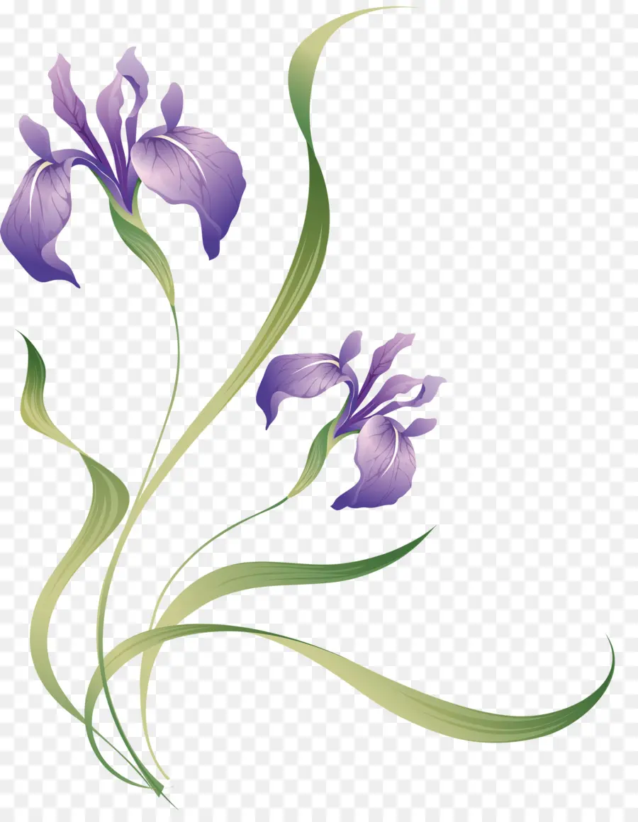 Flores Moradas，Florecer PNG