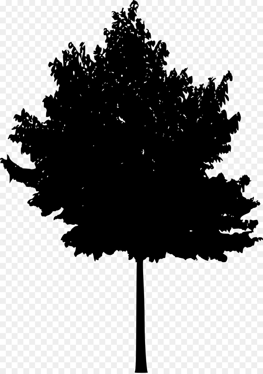 Árbol，Silueta PNG