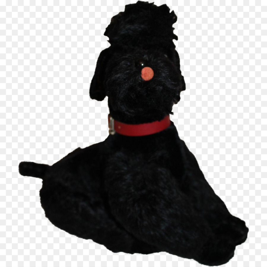 Scottish Terrier，Schnoodle PNG