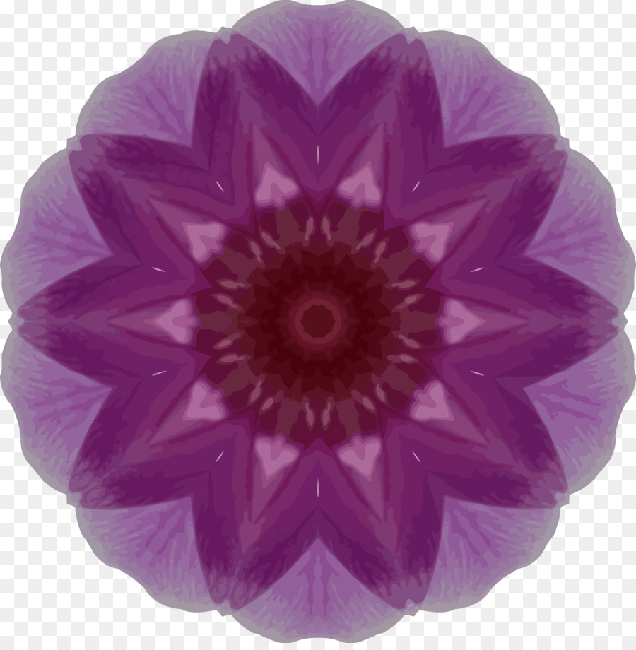 Mandala，Vistoso PNG